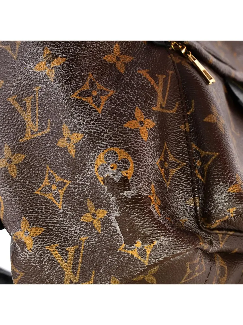 Louis Vuitton Palm Springs Backpack #258214L17B